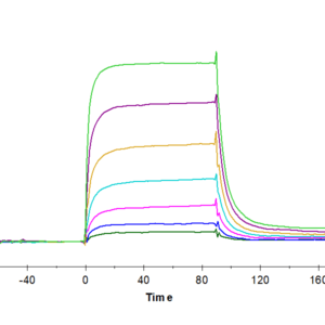 SPR with Human PD-L2/B7-DC Protein 5200