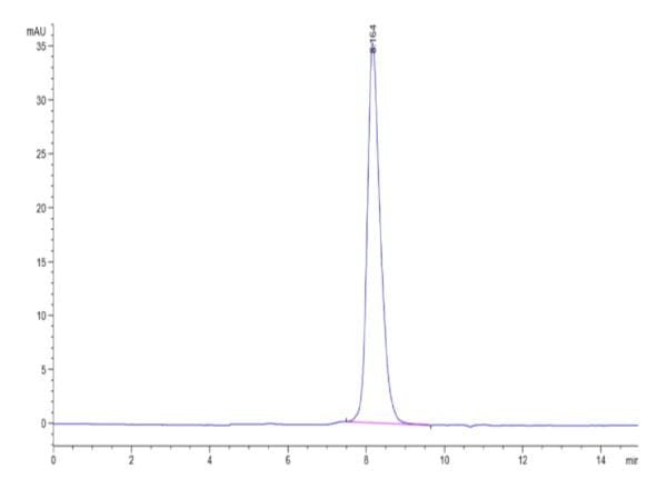 HPLC of Biotinylated Human TIGIT Protein 5203