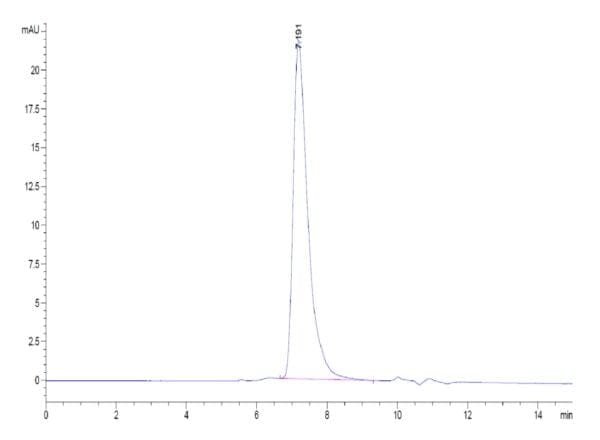 HPLC of Biotinylated Human MSLN/Mesothelin Protein 5204