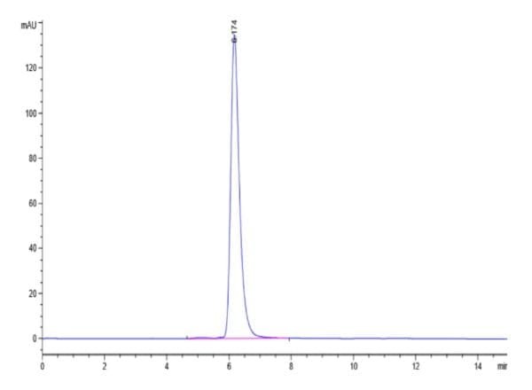 HPLC of Biotinylated Human E-Selectin/CD62E Protein 5205