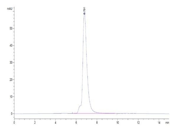 HPLC of Biotinylated Human IL-6 R alpha/CD126 Protein 5212