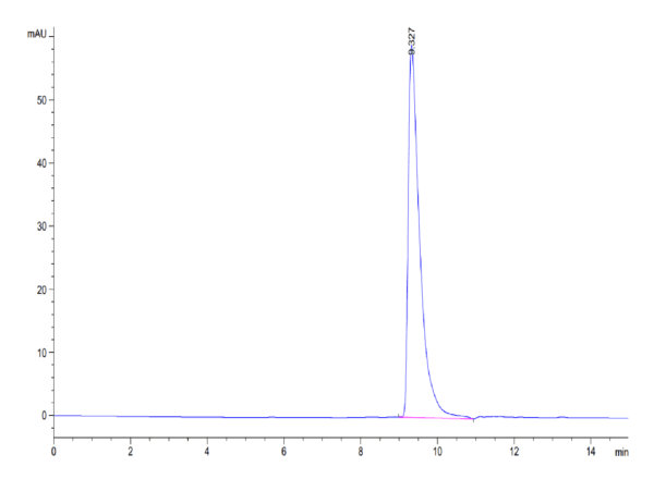 HPLC of Mouse IGFBP2 Protein 5251