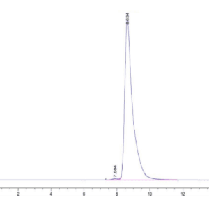 HPLC of Human HLA-A*02:01&B2M&HBV (FLLTRILTI) Monomer Protein 5257