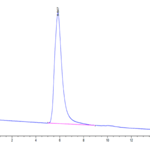 HPLC of Human GARP&Latent TGF Beta 2 Complex Protein 5302
