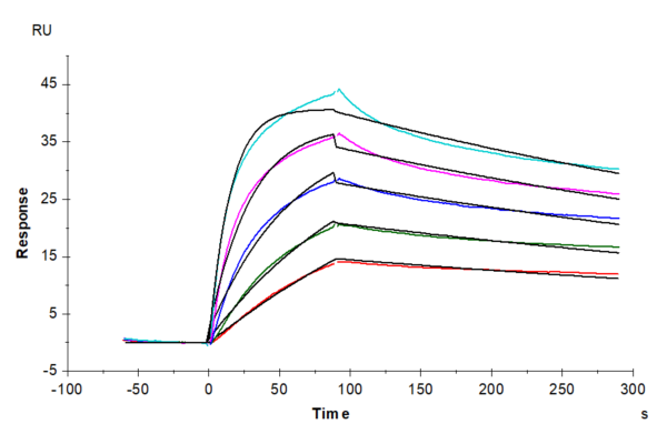 SPR with Cynomolgus LDLR Protein 4273
