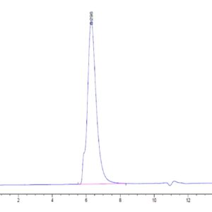 HPLC of Human Siglec-5/CD170 Protein 4573