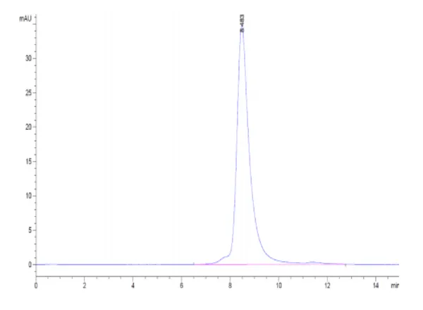 Biotinylated Cynomolgus GFRAL/GFR alpha-like Protein 5227 - Image 3