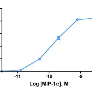 Migration Assay: Cells expressing recombinant CCR1 were assayed for migration through a transwell filter at various concentrations of MIP-1α. Responses are expressed as the % of total input cells.