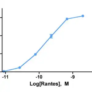 Migration Assay: Cells expressing recombinant CCR5 were assayed for migration through a transwell filter at various concentrations of Rantes. Responses are expressed as the % of total input cells.
