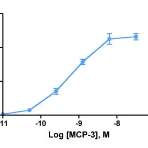 Migration Assay: Cells expressing recombinant CCR2 were assayed for migration through a transwell filter at various concentrations of MCP-3. Responses are expressed as the % of total input cells.