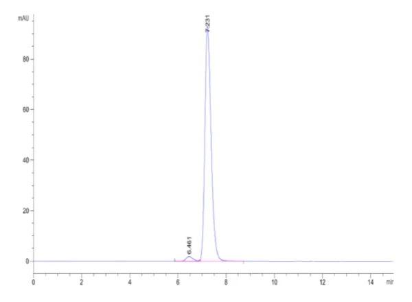 Human CD206/MMR Protein 7112 - Image 2