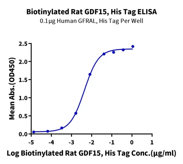 Biotinylated Rat GDF15 Protein (Primary Amine Labeling) 7113 - Image 2