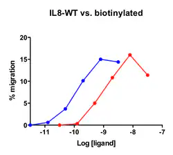 Chemokine Induced Migration Cells expressing recombinant CXCR1 were assayed for migration through the transwell bare filter at various concentrations of IL-8. The response is expressed as the % of total input cells (Blue: wild type; Red: biotinylated).