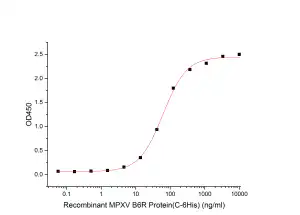 Immobilized Anti-MPXV B6R mAb at 1μg/ml (100 μl/well) can bind MPXV B6R Protein-His.The ED50 of MPXV B6R Protein-His is 59.81 ng/ml
