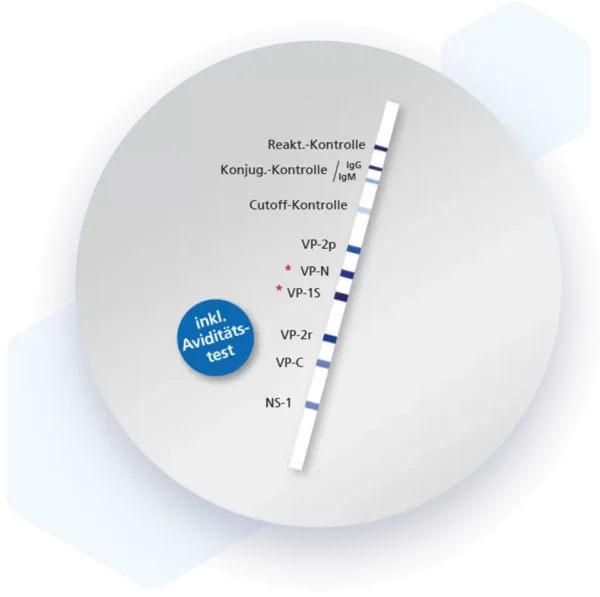 Human Parvovirus B19 IgM Lateral flow dipstick kit 4473