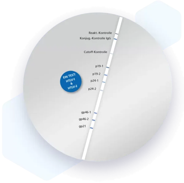 Human T-lymphotropic virus type 1 (HTLV-1) and type 2 (HTLV-2) IgG Lateral flow dipstick kit 5272