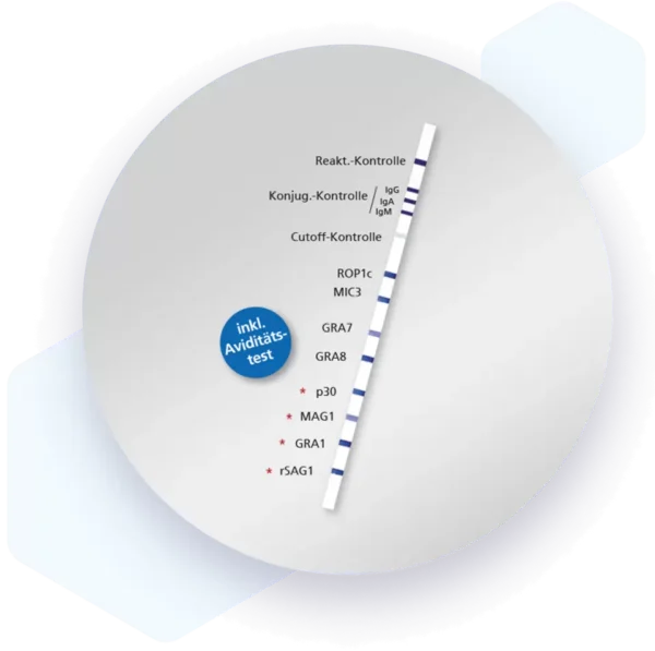 Human Toxoplasma gondii IgG Lateral flow dipstick kit 5972