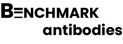 Benchmark Antibodies Logo