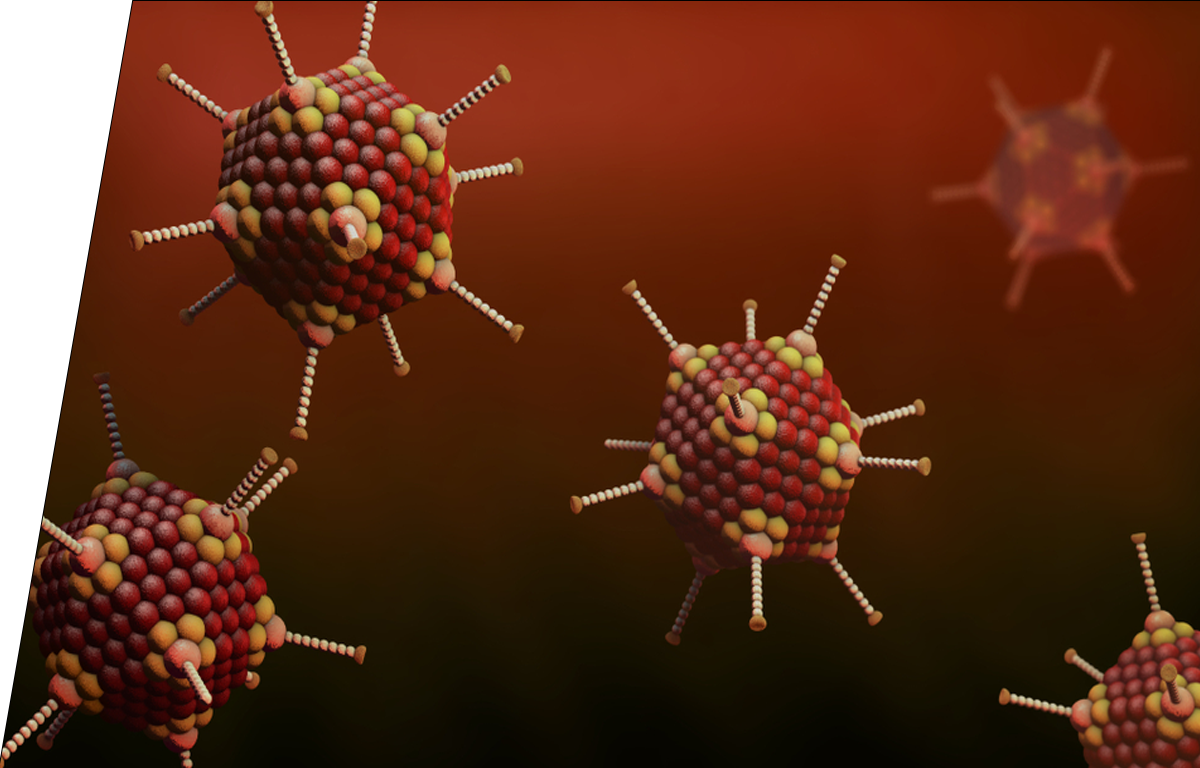 Adenovirus virus - IVD ELISA kits for research