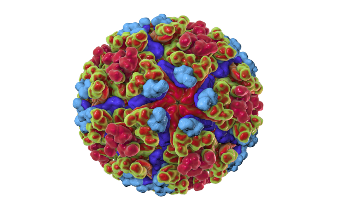 Chikungunya virus - IVD ELISA kits for research