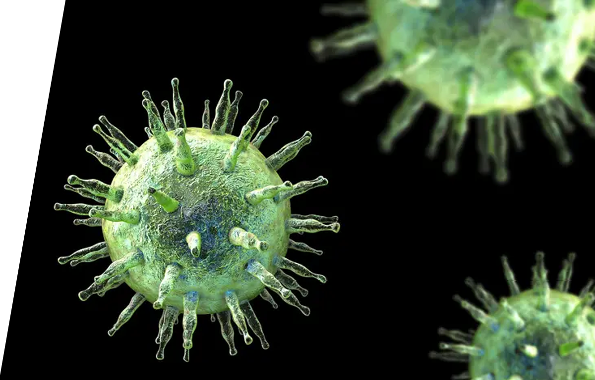 Epstein-Barr virus - IVD ELISA kits for research