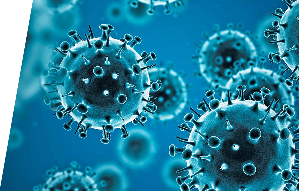 Influenza virus - IVD ELISA kits for research