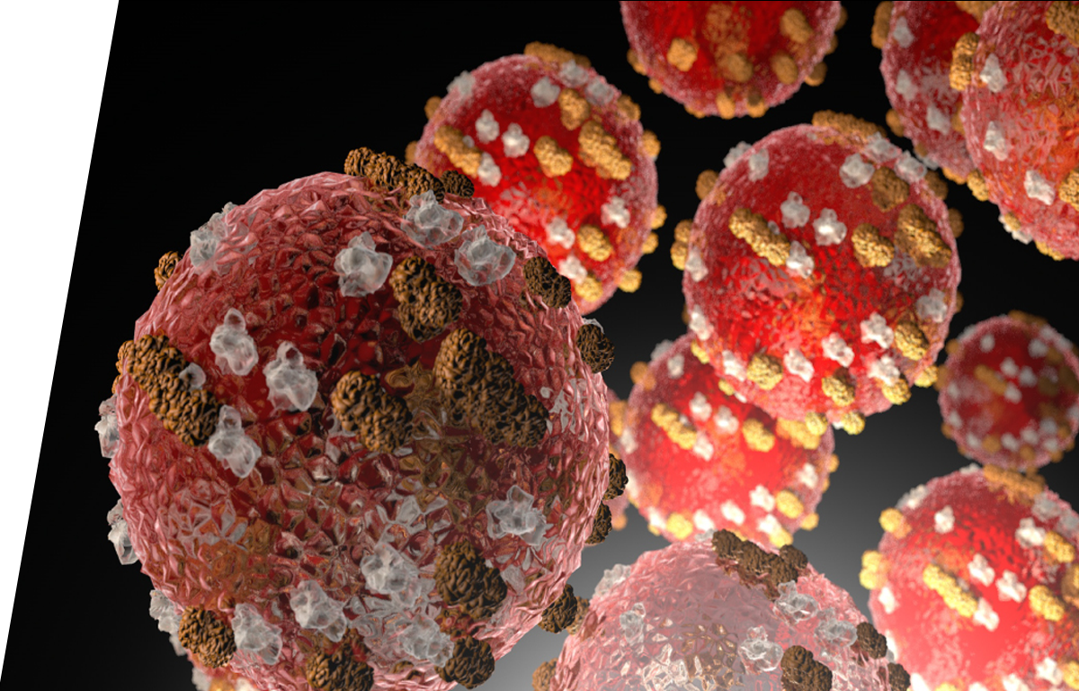 Measles - IVD ELISA kits for research