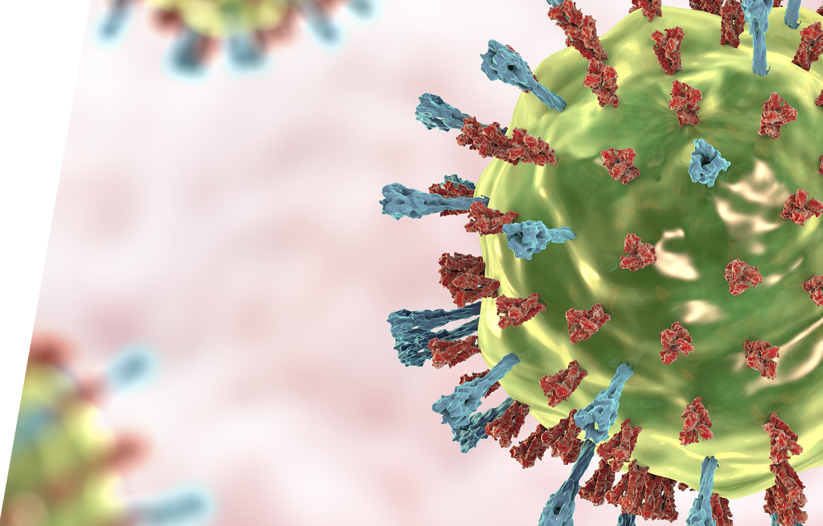 Mumps virus - IVD ELISA kits for research