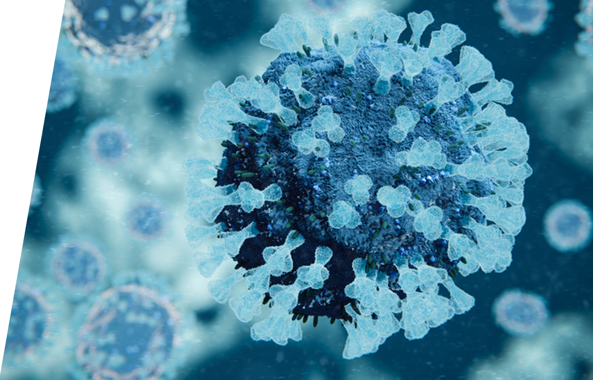 Parainfluenza virus - IVD ELISA kits for research