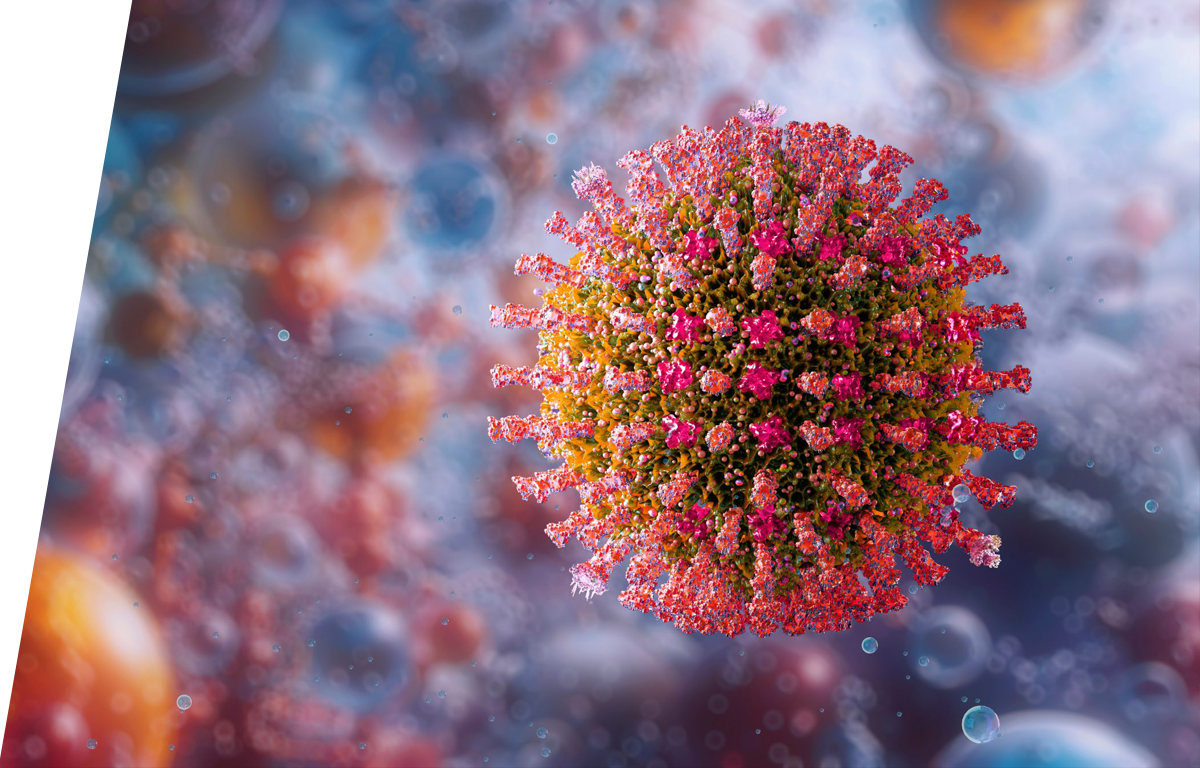 Rubella virus - IVD ELISA kits for research