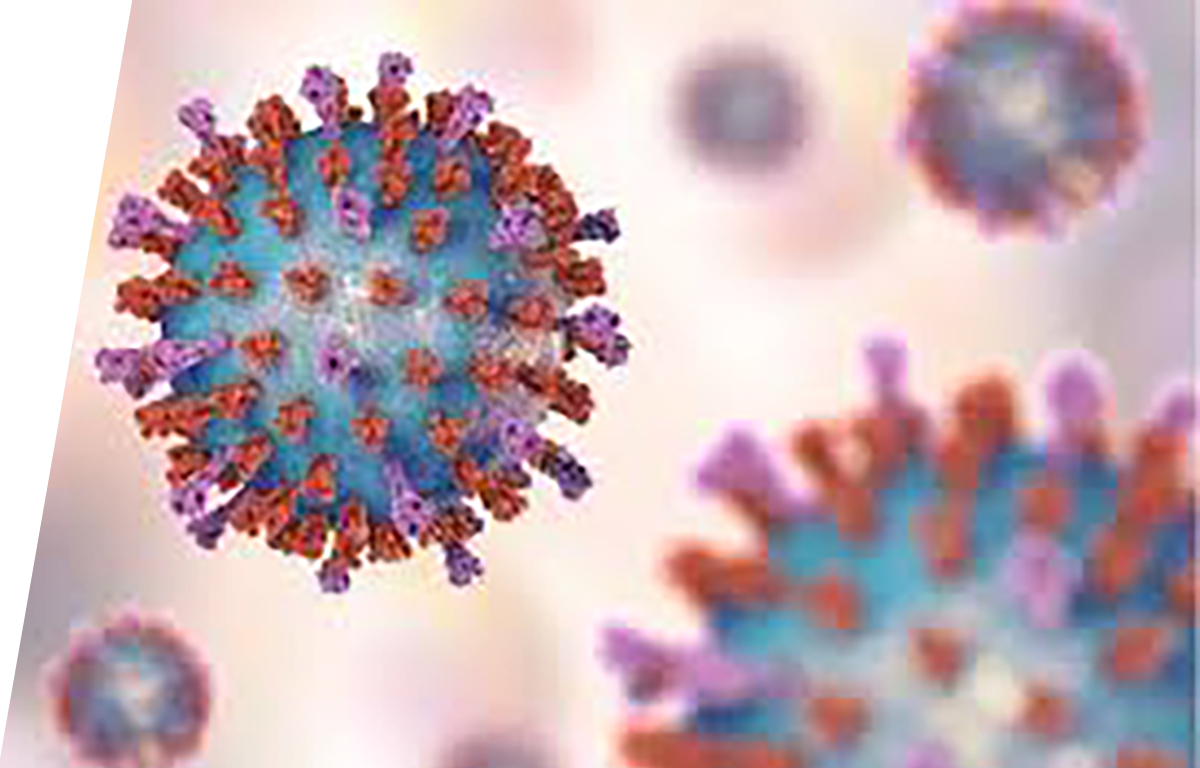 Respiratory syncytial virus (RSV) - IVD ELISA kits for research