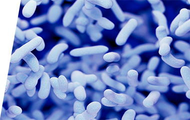 Diphtheria - IVD ELISA kits for research