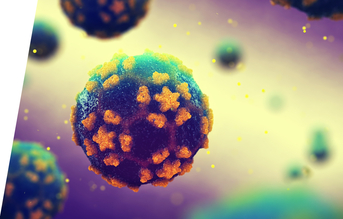 Cytomegalovirus - IVD ELISA kits for research