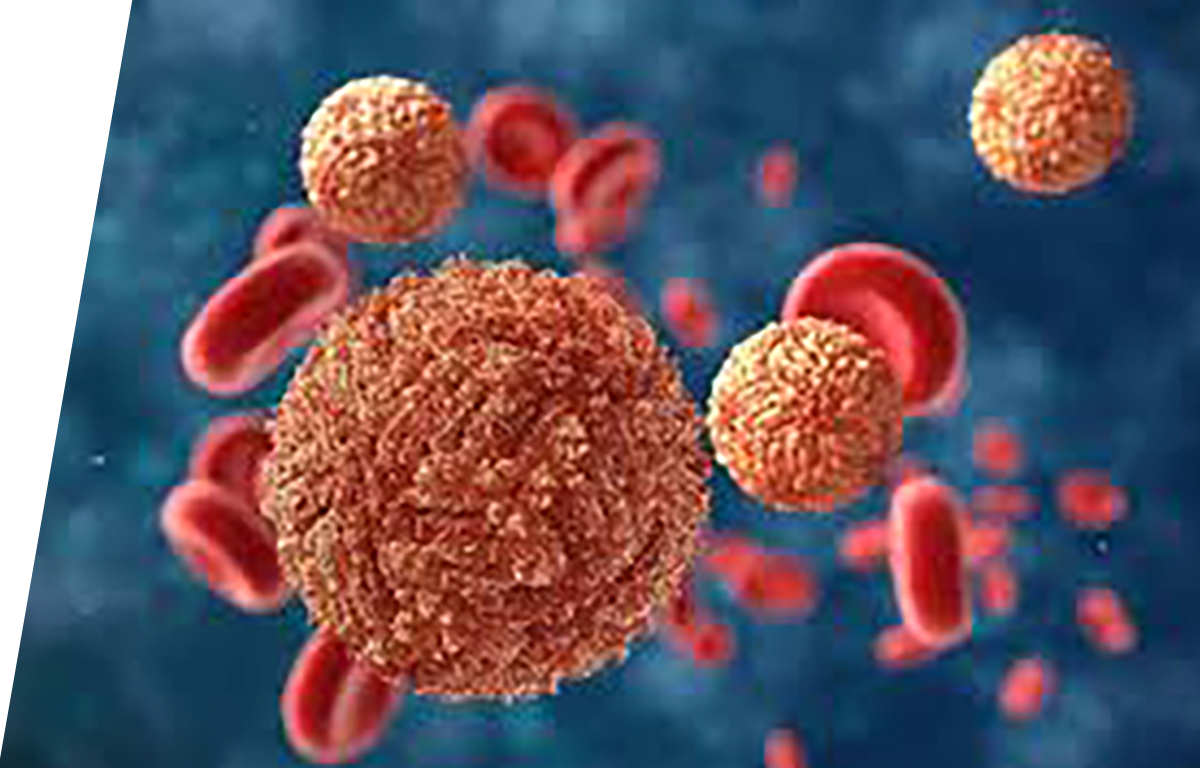 Dengue - IVD ELISA kits for research