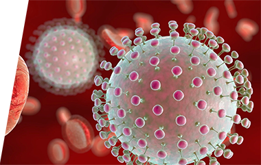 Zika virus - IVD ELISA kits for research